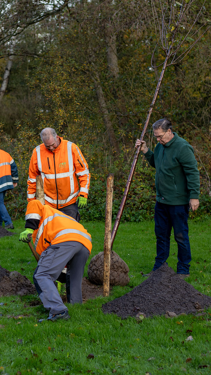 Boomplantdag-Dordrecht_allgroen-12