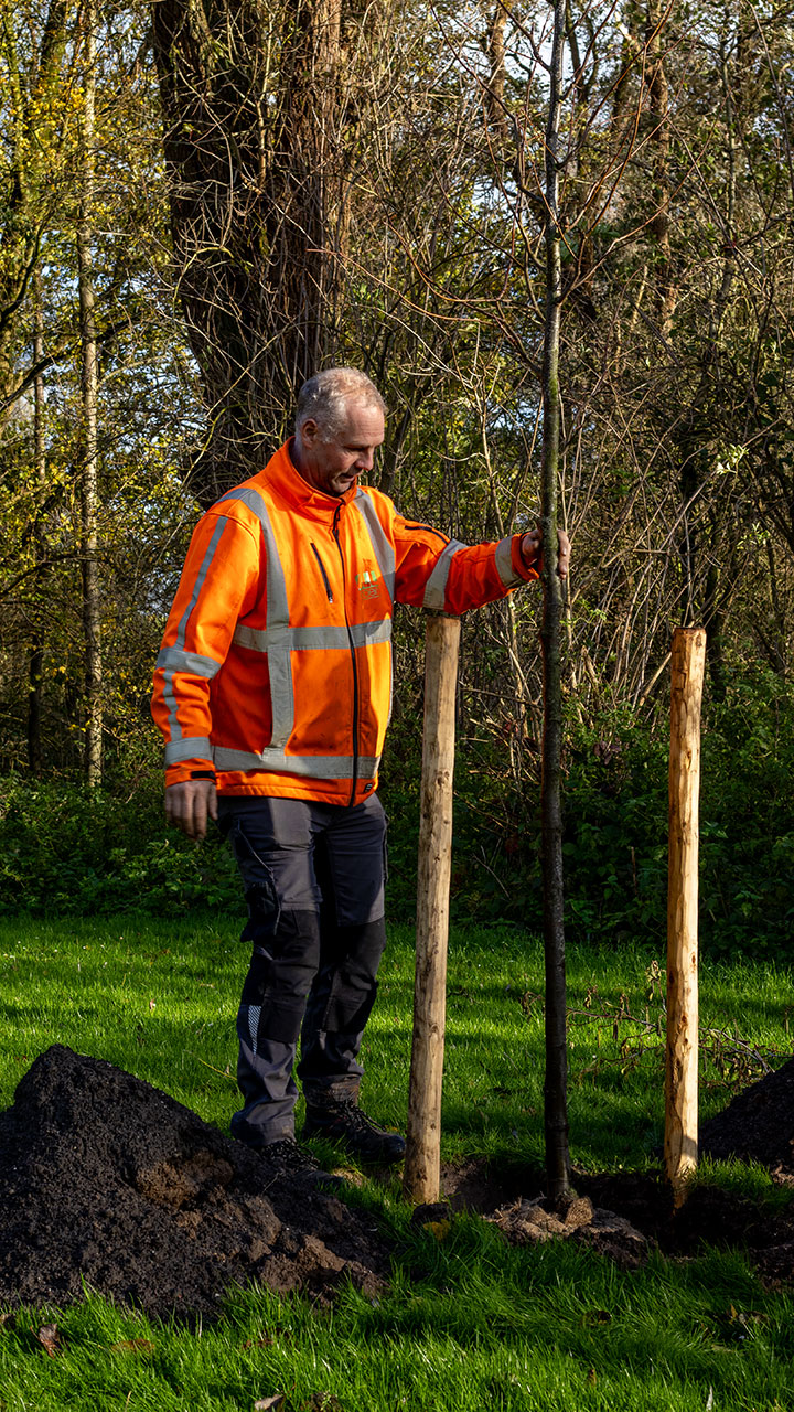 Boomplantdag-Dordrecht_allgroen-16