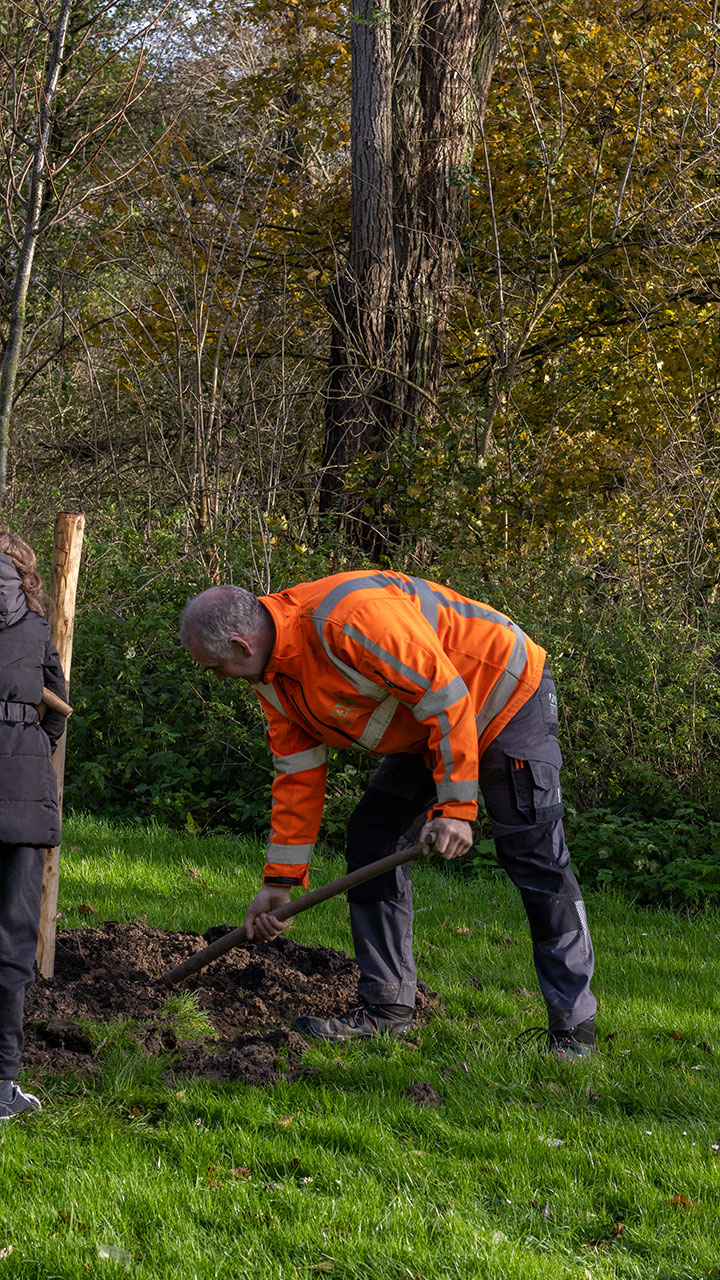 Boomplantdag-Dordrecht_allgroen-17