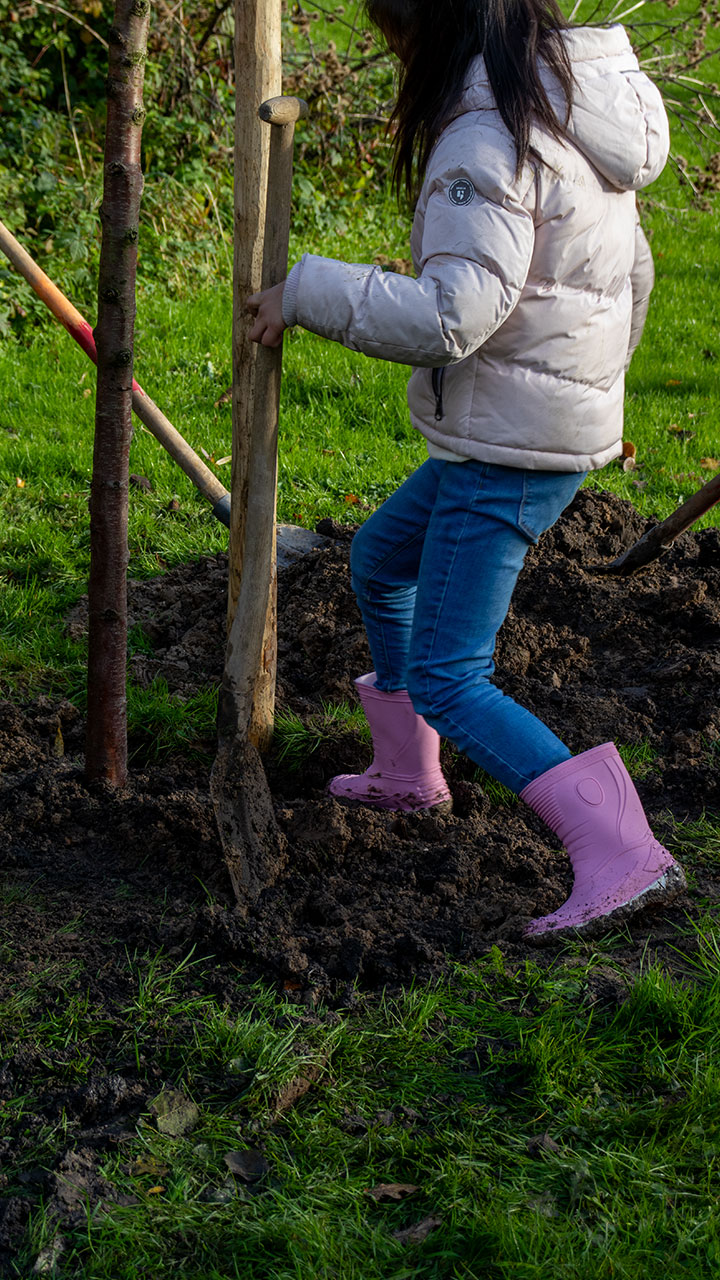 Boomplantdag-Dordrecht_allgroen-18
