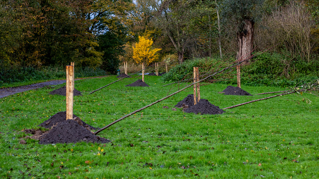 Boomplantdag-Dordrecht_allgroen-3