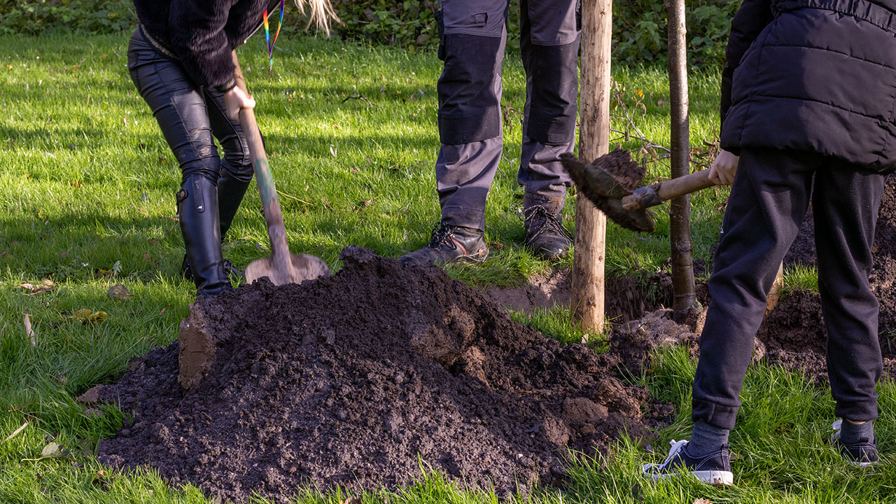Boomplantdag-Dordrecht_allgroen-5