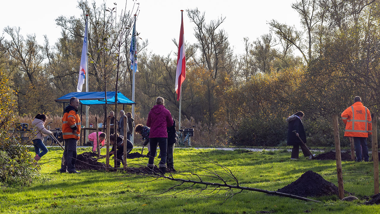 Boomplantdag-Dordrecht_allgroen-6