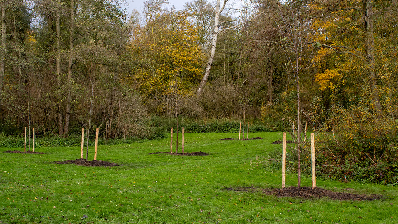 Boomplantdag-Dordrecht_allgroen-9