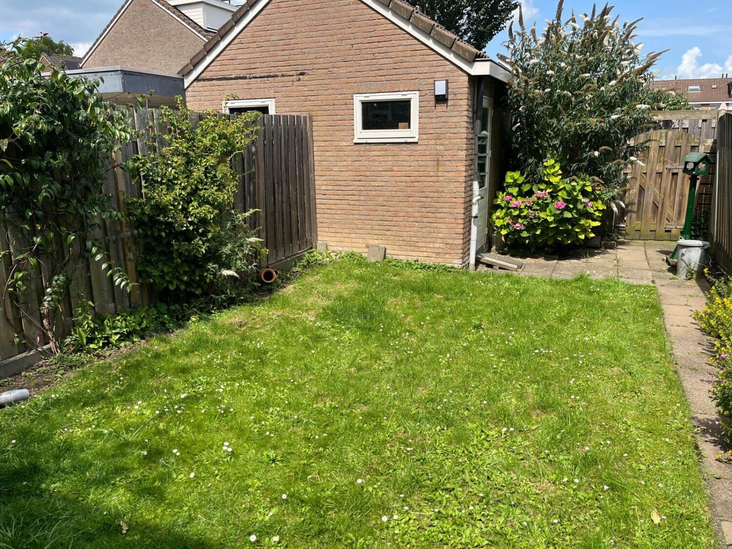 Aanleg achtertuin allgroen (1)