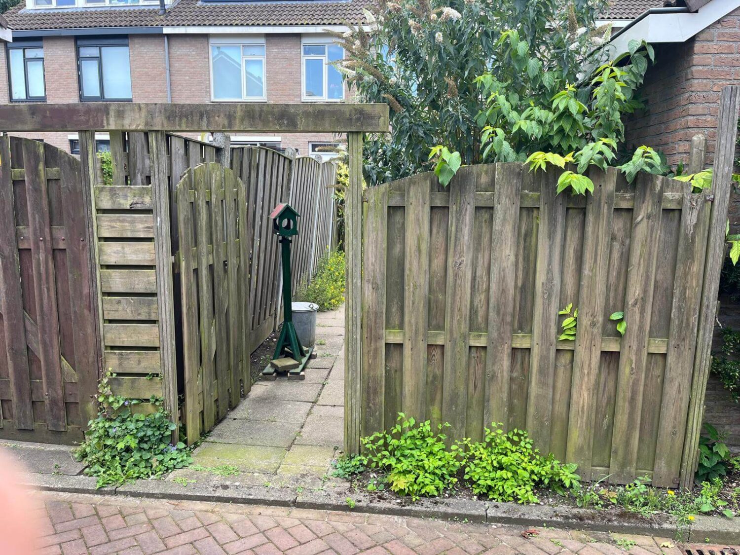 Aanleg achtertuin allgroen (2)