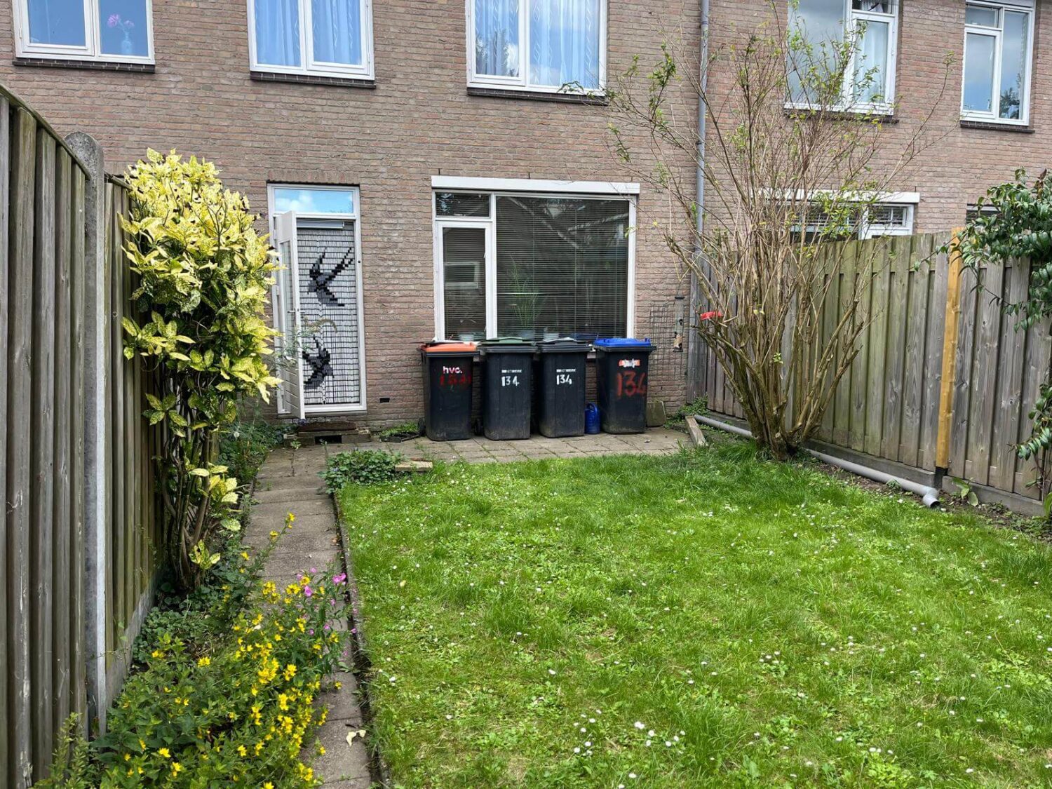 Aanleg achtertuin allgroen (5)