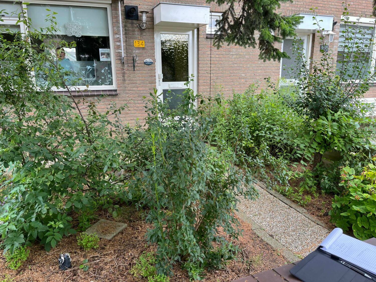 Allgroen aanleg voortuin (1)