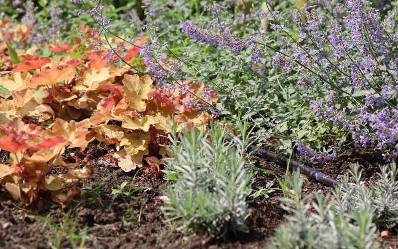 tuin-beregening Beregeningsinstallatie