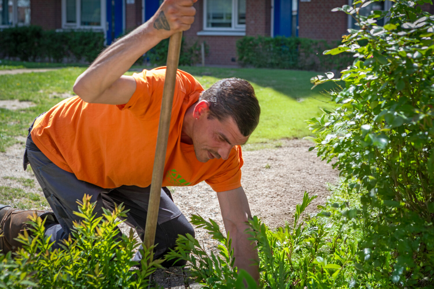 vacature leerling hovenier