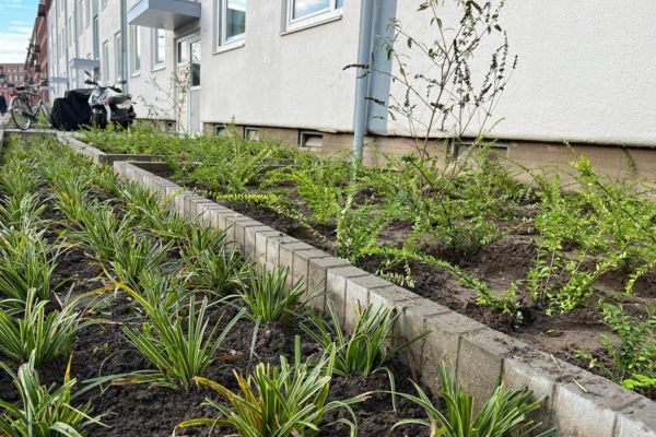 aanleg openbare ruimte