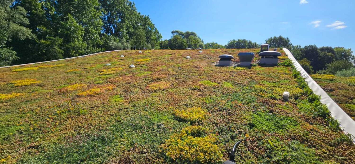 WhatsApp Image 2025-09-12 at 07.37.58 (2)