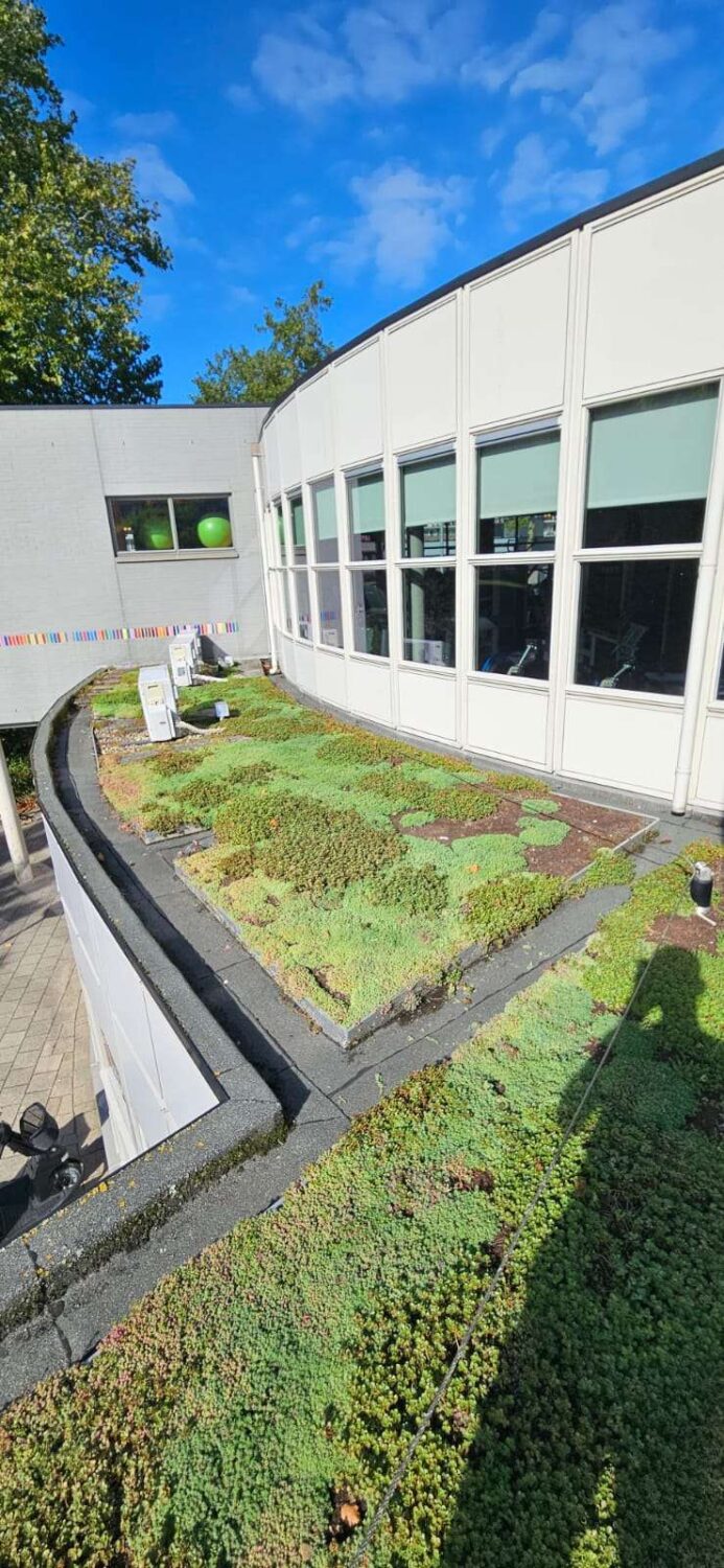 WhatsApp Image 2025-09-12 at 07.37.59 (1)