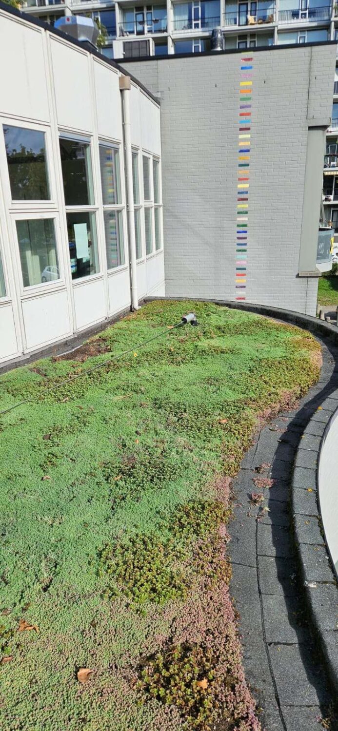 WhatsApp Image 2025-09-12 at 07.37.59 (2)