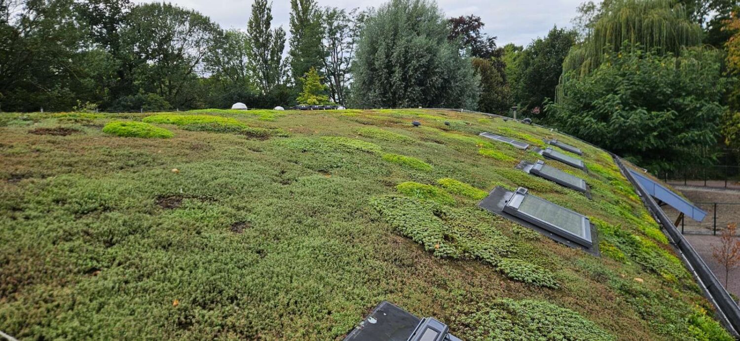 WhatsApp Image 2025-09-12 at 07.38.00 (1)