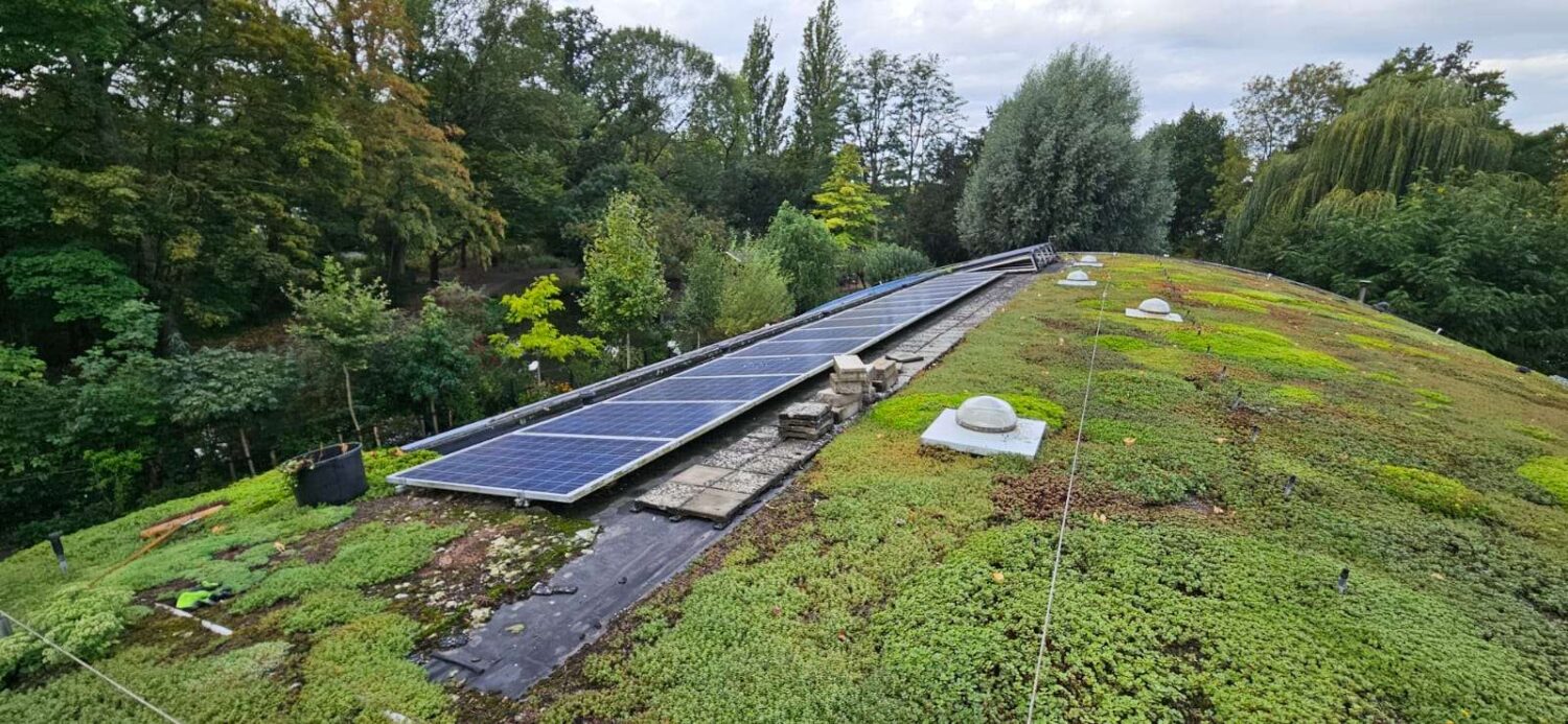 WhatsApp Image 2025-09-12 at 07.38.00