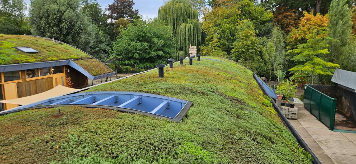 onderhoud-cedumdaken-van-dongen-2