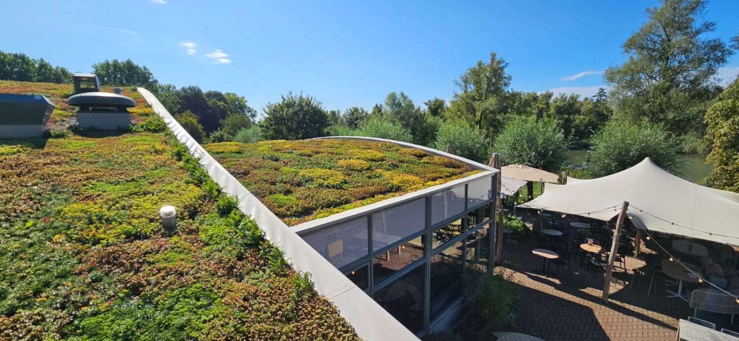 onderhoud-cedumdaken-van-dongen