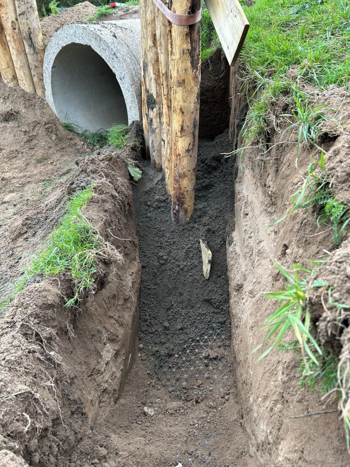 WhatsApp Image 2025-10-07 at 16.24.31