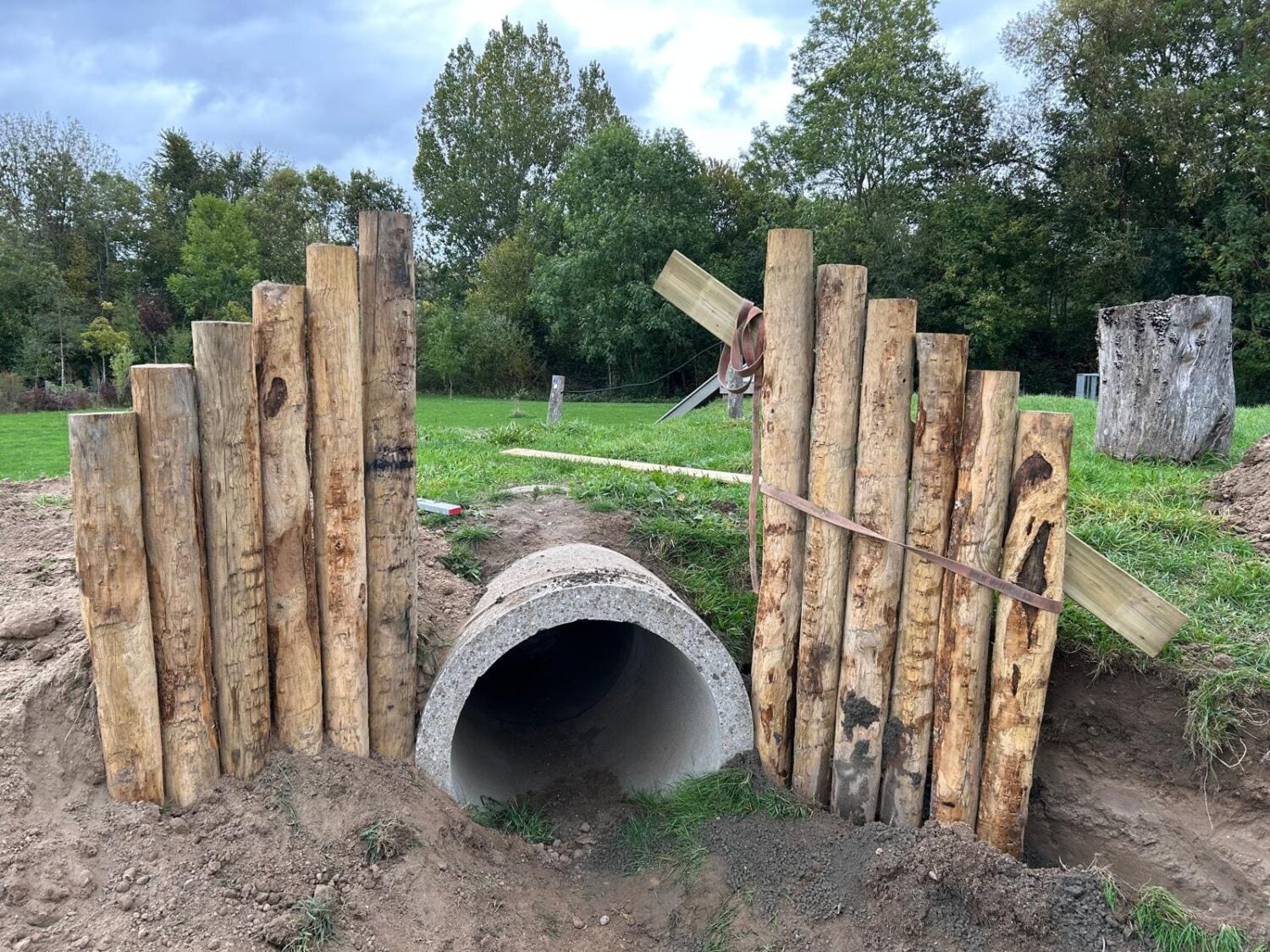 WhatsApp Image 2025-10-07 at 16.24.32