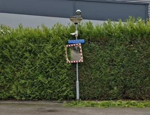 Knippen hagen bij Jos van der Graaf bestratingen