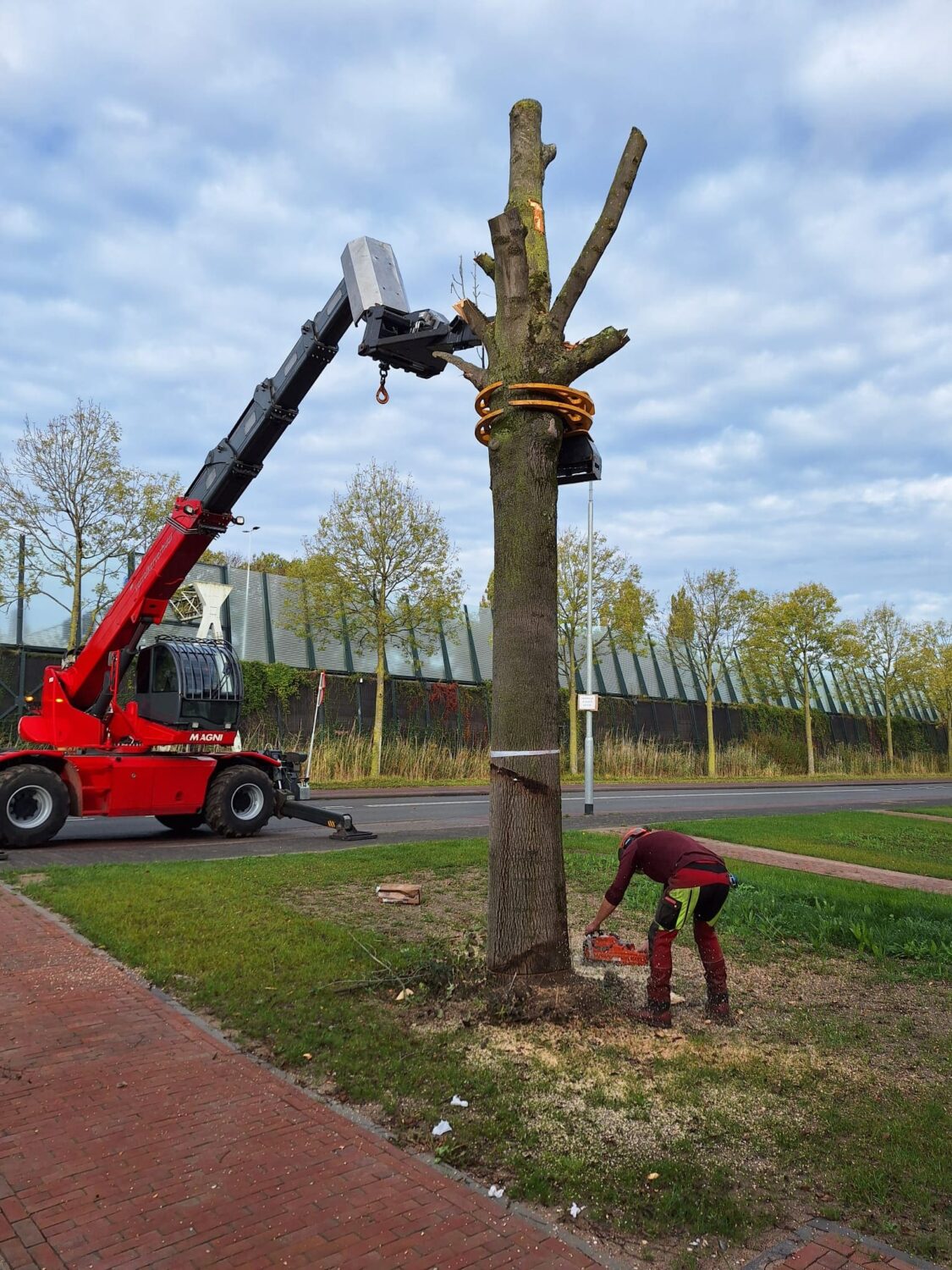 WhatsApp Image 2025-10-22 at 19.14.47