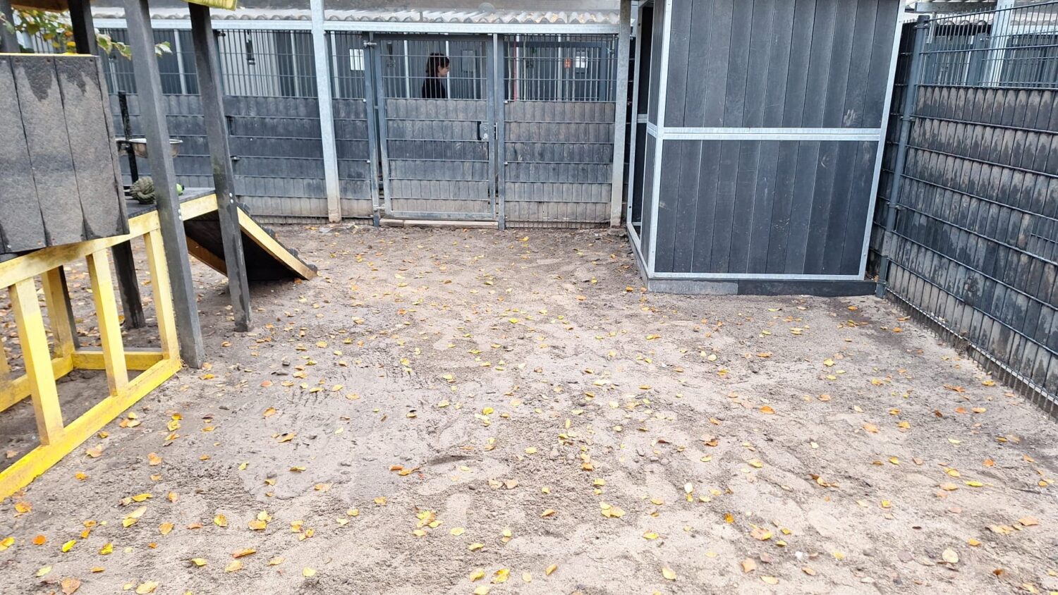 Aanleg honden kunstgras Louterbloemen (11)