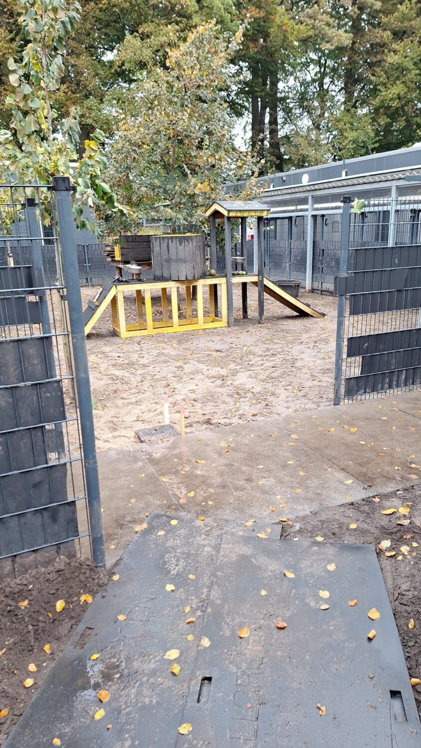 Aanleg honden kunstgras Louterbloemen (13)