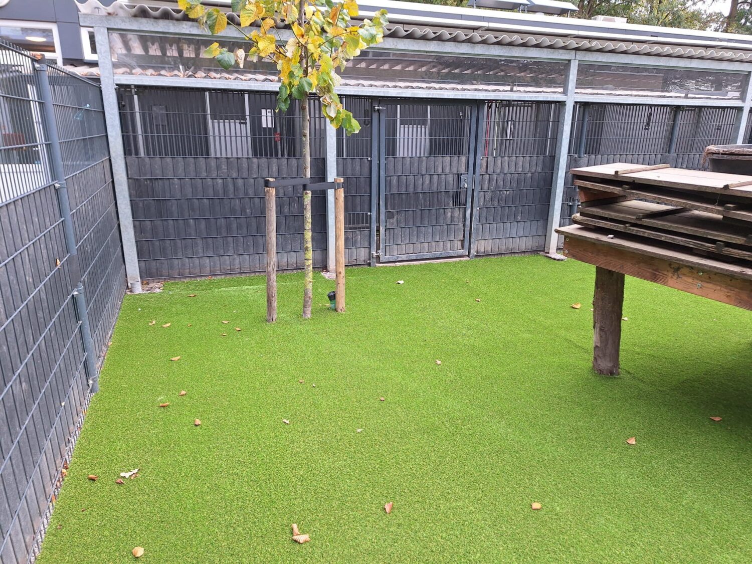 Aanleg honden kunstgras Louterbloemen (3)