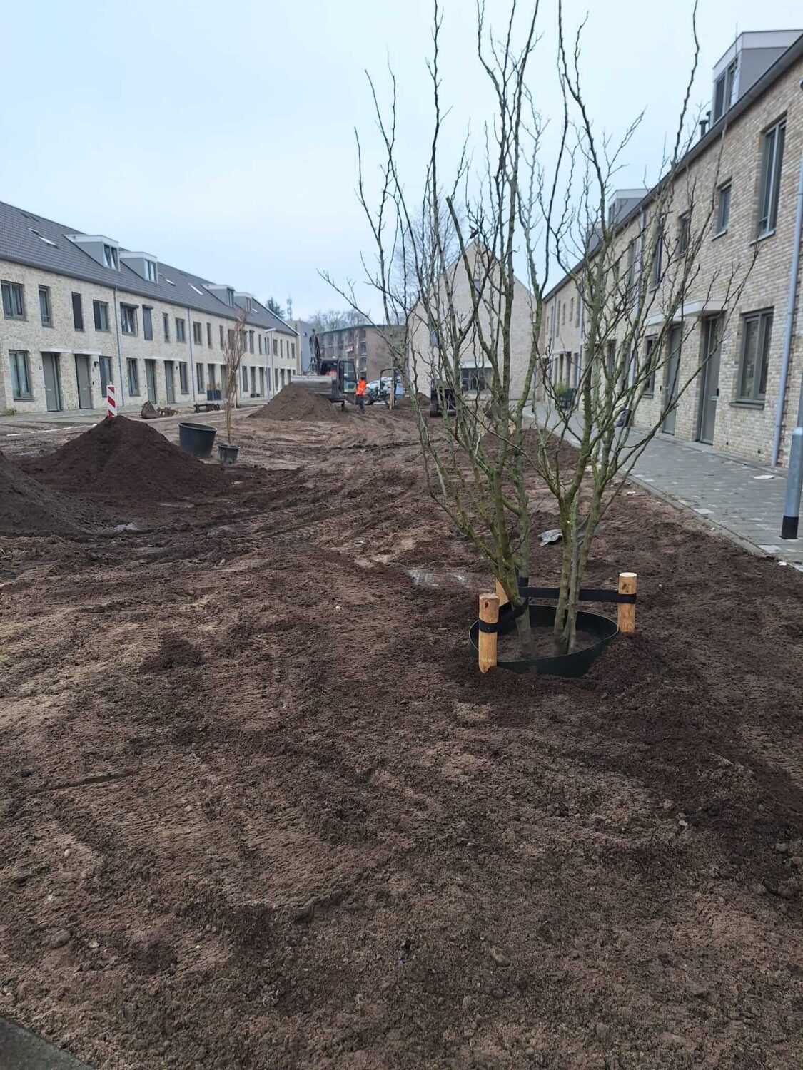 Herinrichting Charlotte Bourbonstraat (9)