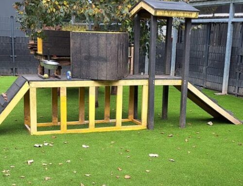 Aanleg hondenspeelweide met kunstgras bij Louterbloemen