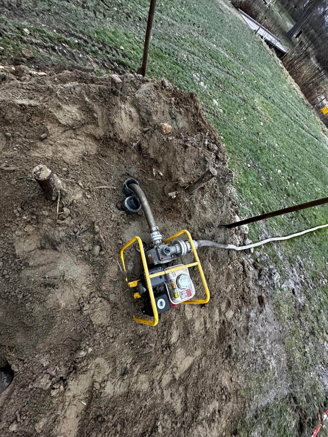 Biggetjespark Dordrecht Allgroen (17)