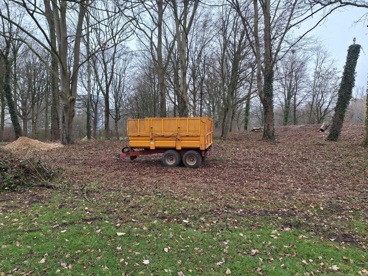 Biggetjespark Dordrecht Allgroen (19)