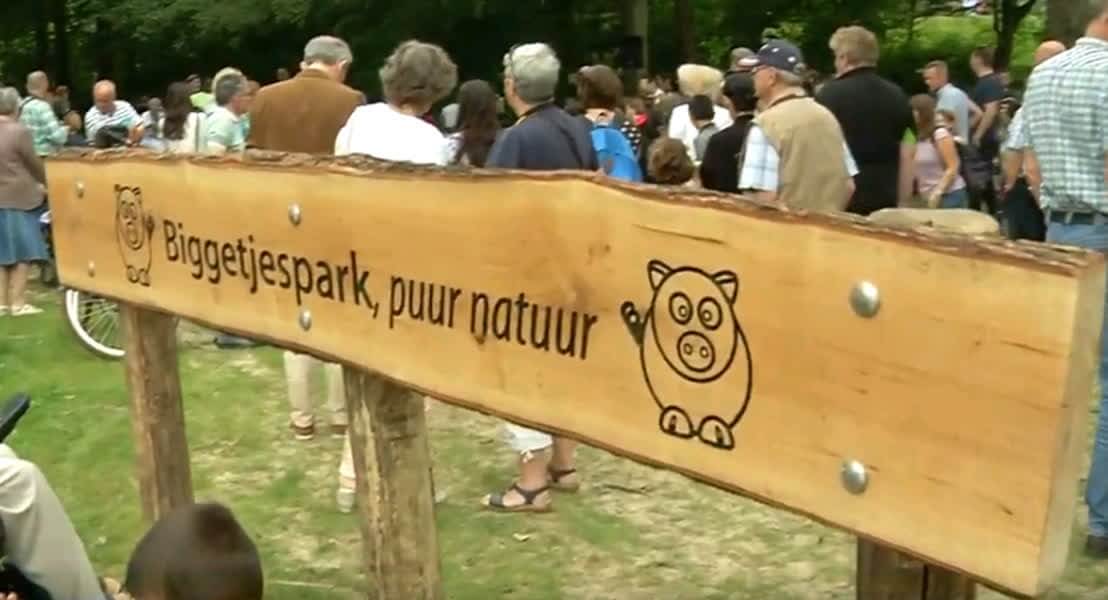 Biggetjespark Dordrecht Allgroen (2)