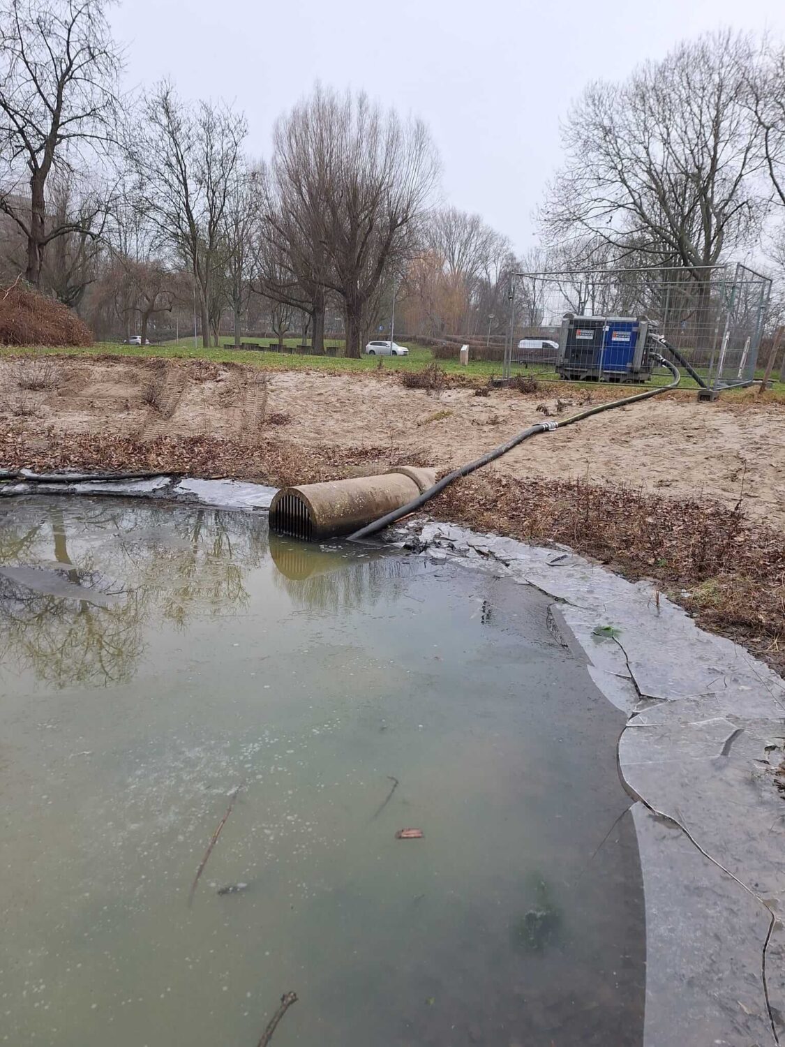 Biggetjespark Dordrecht Allgroen (23)