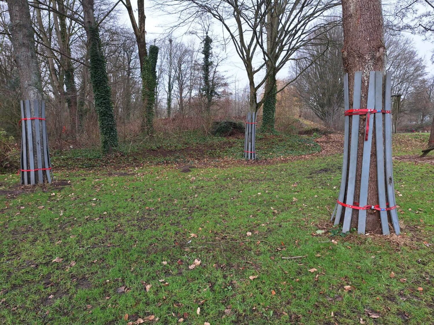 Biggetjespark Dordrecht Allgroen (5)