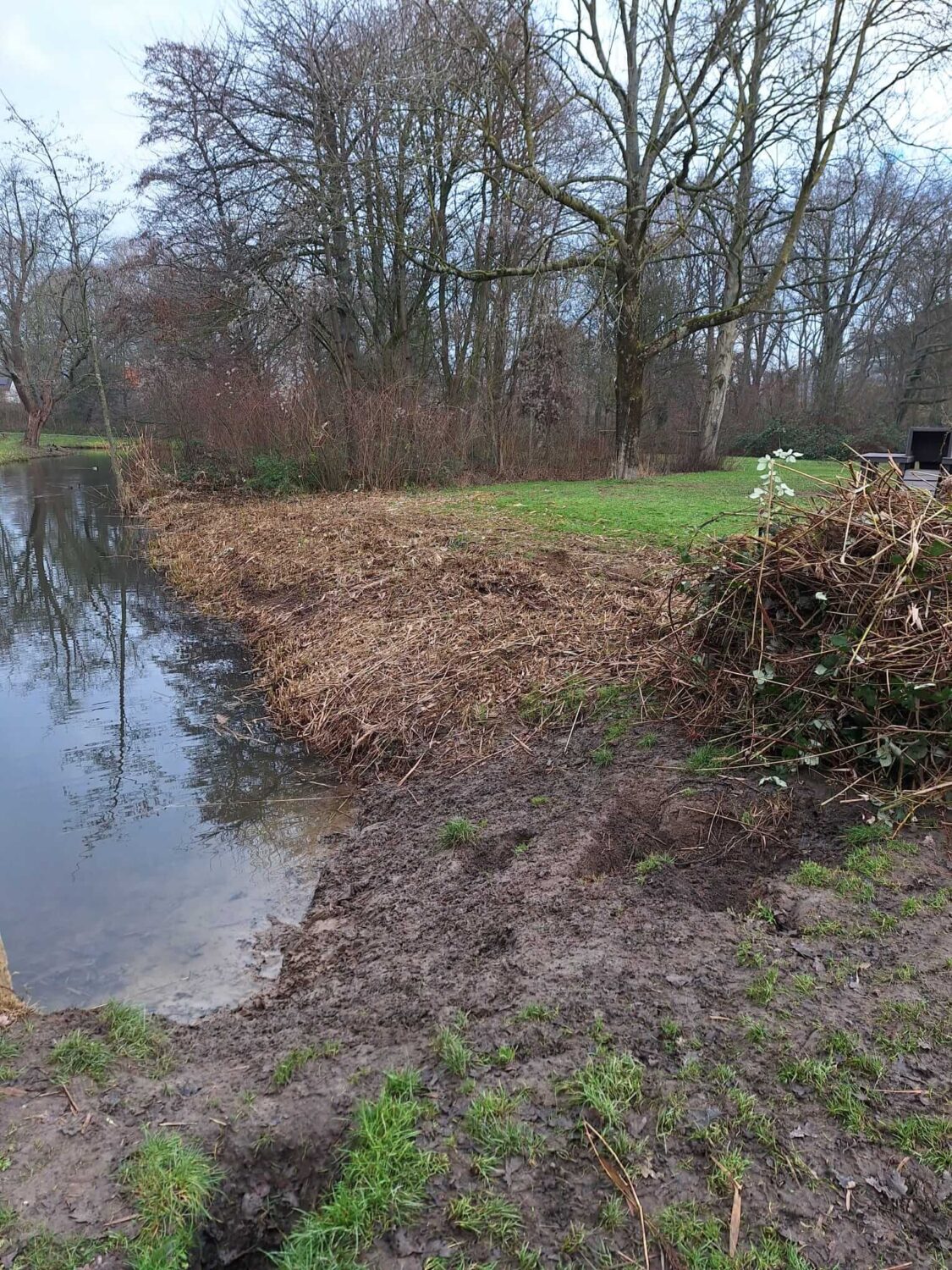 Biggetjespark Dordrecht Allgroen (6)