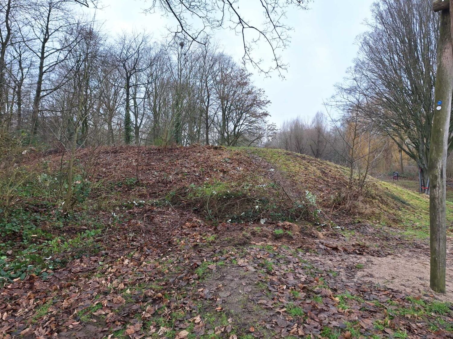 Biggetjespark Dordrecht Allgroen (7)