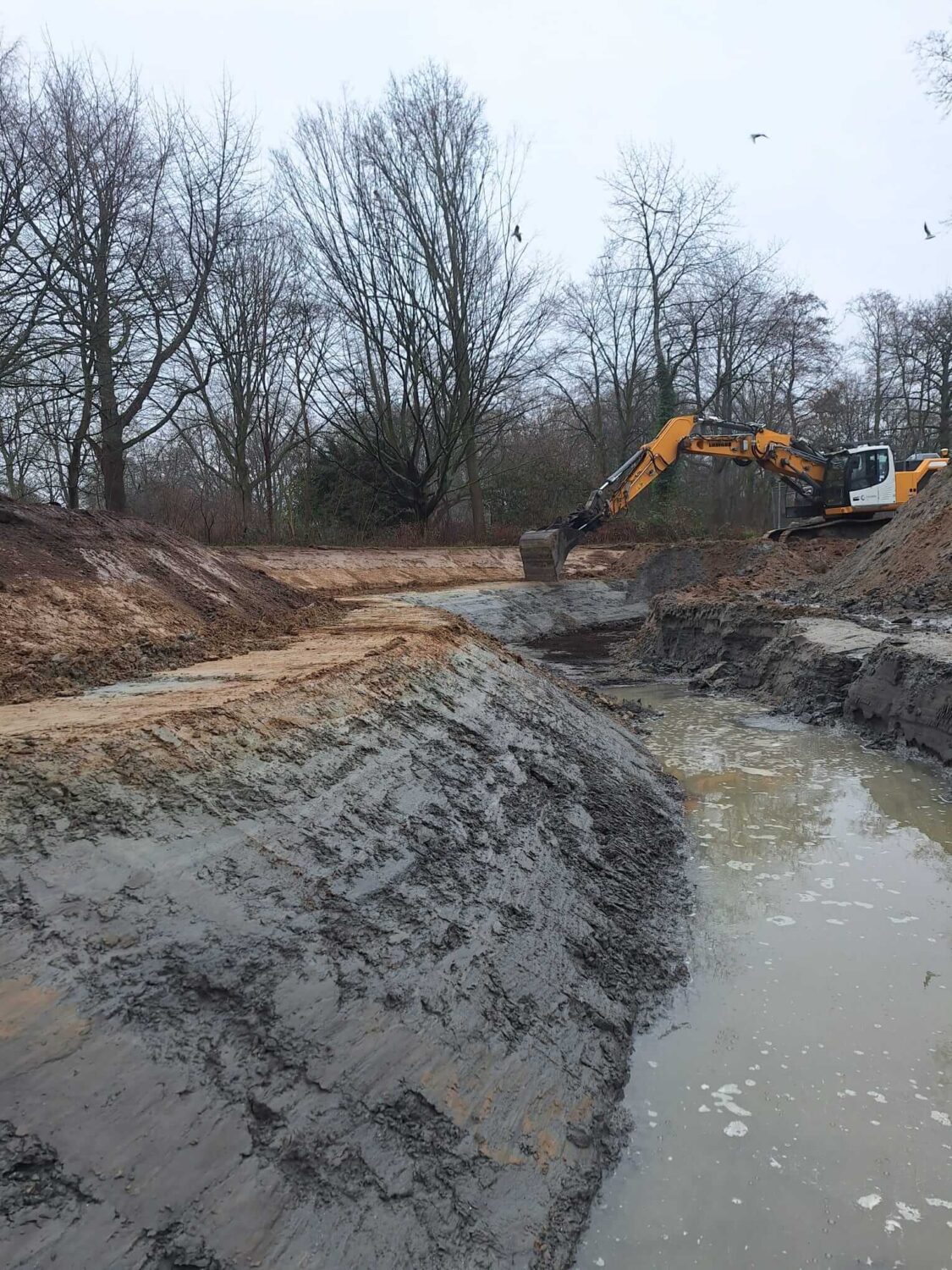 Biggetjespark Dordrecht Allgroen Fase 2 (17)