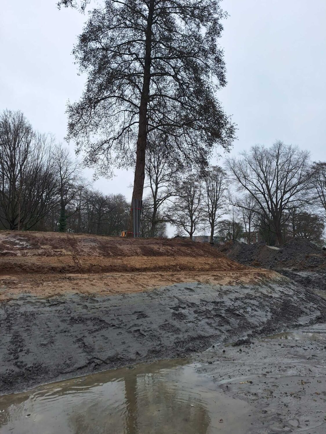 Biggetjespark Dordrecht Allgroen Fase 2 (21)