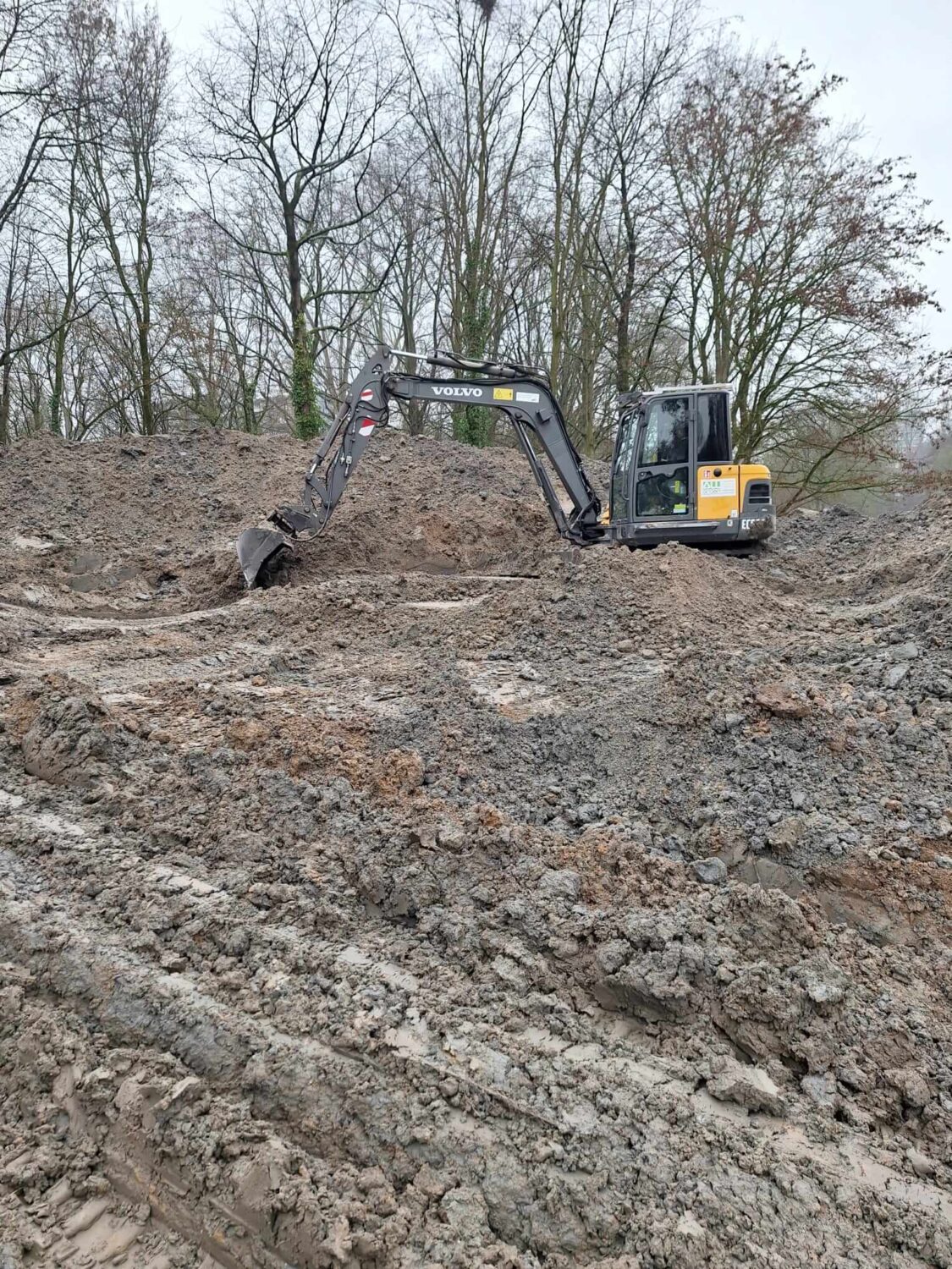 Biggetjespark Dordrecht Allgroen Fase 2 (29)