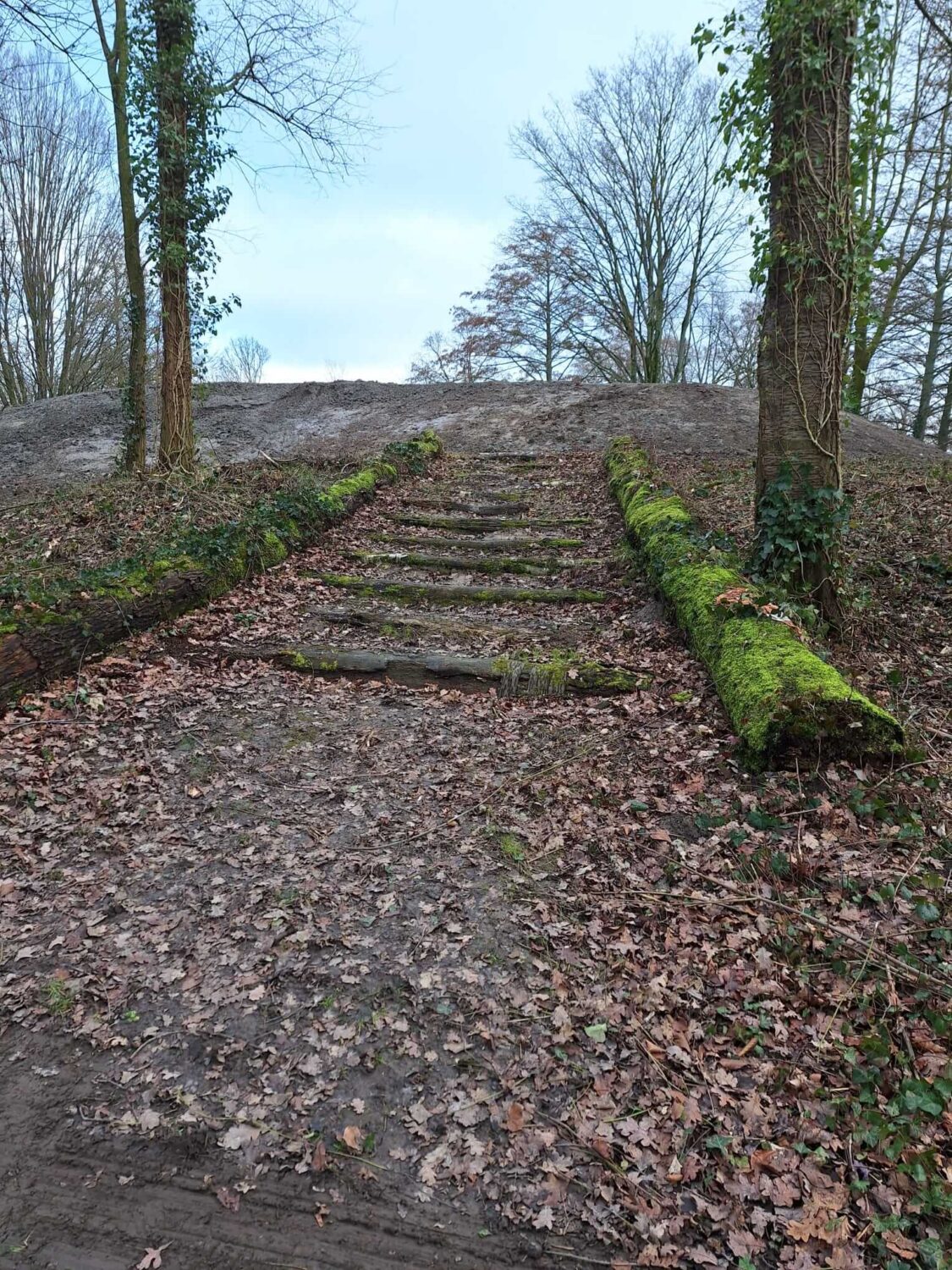 Biggetjespark Fase 3 allgroen (28)