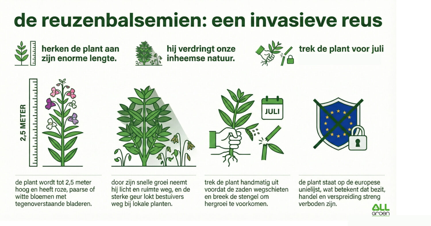  infographic milieuvriendelijke onkruidbestrijding