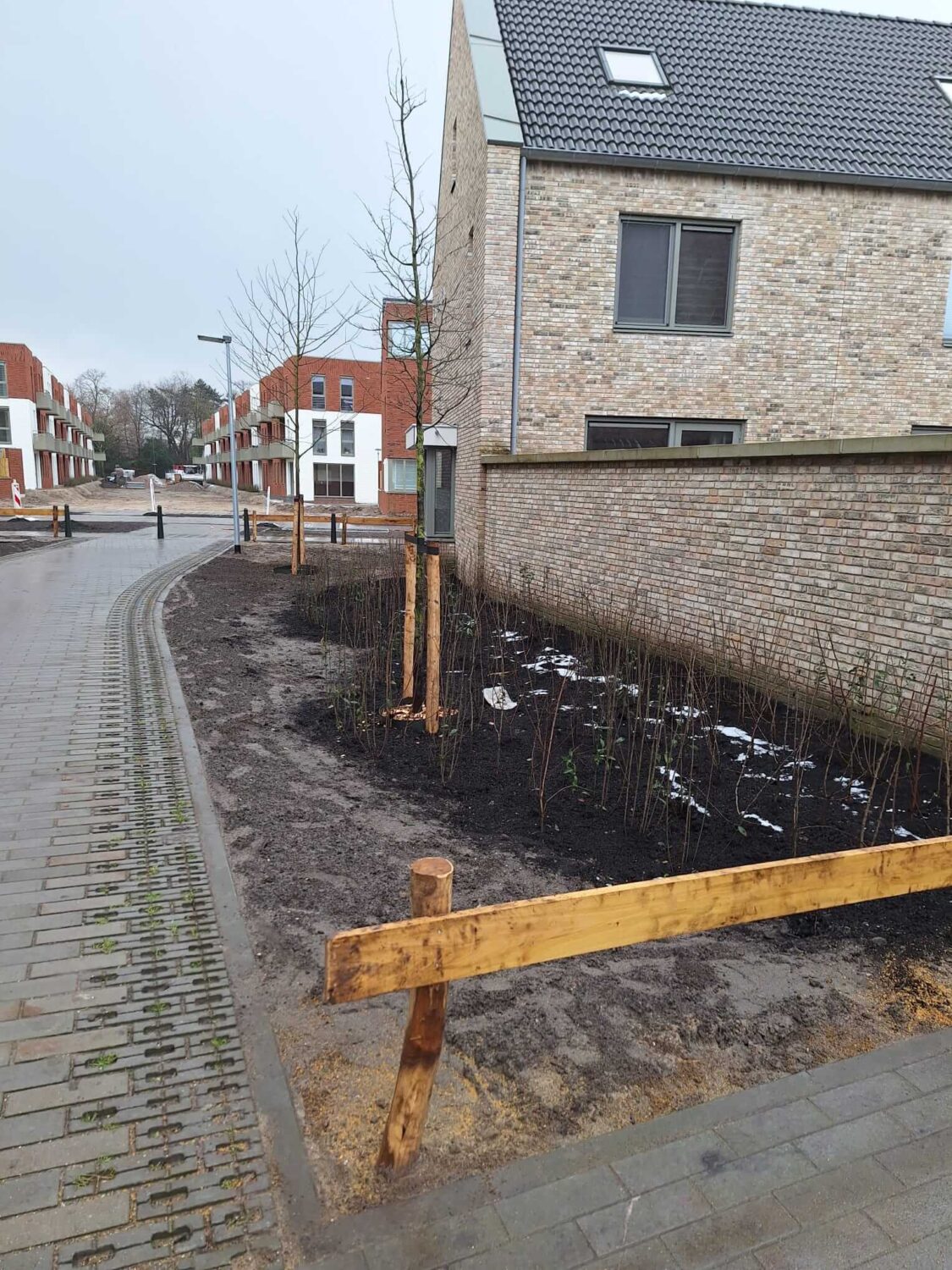 WhatsApp Image 2026-02-17 at 13.32.30 (2)