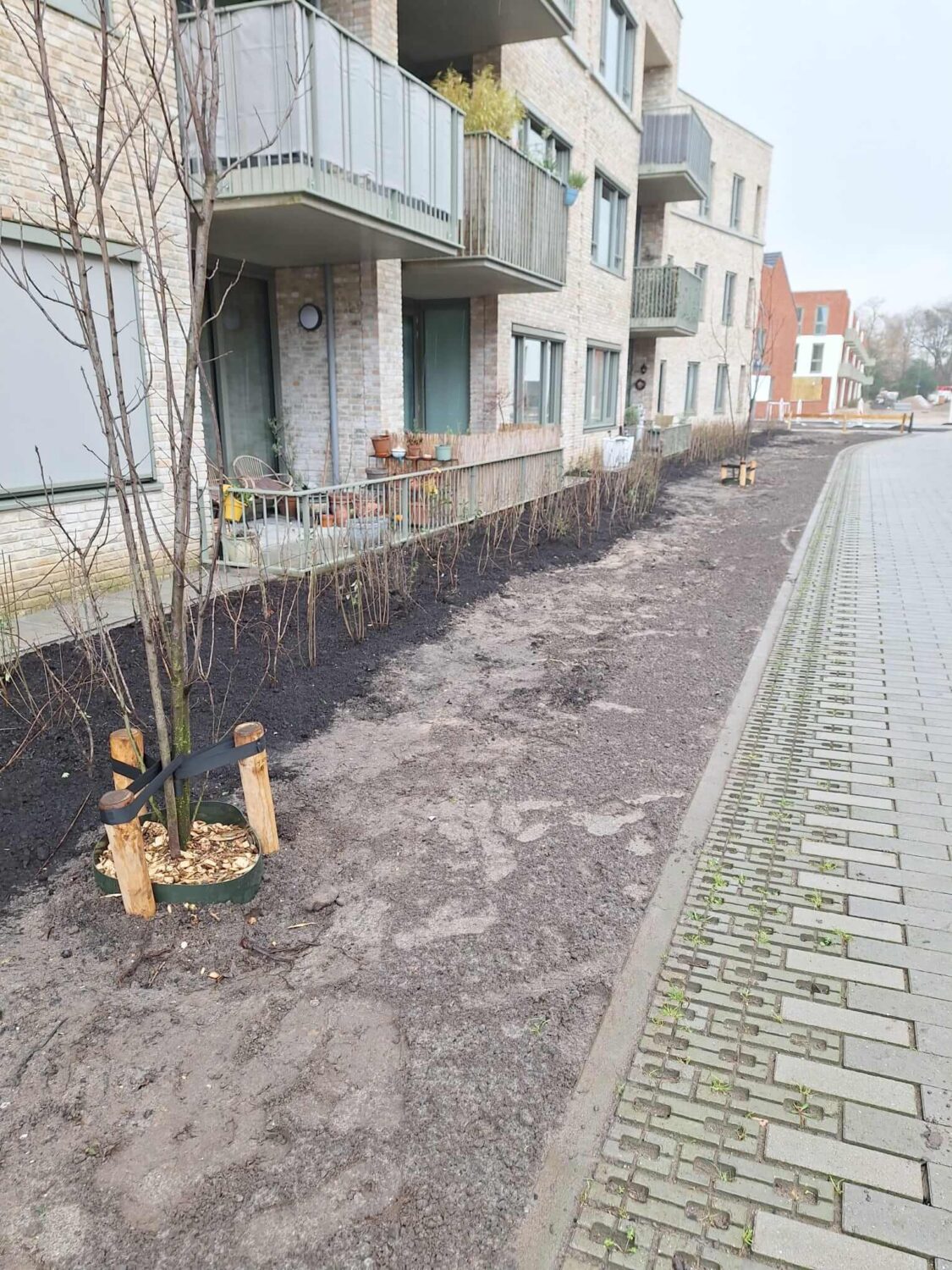 WhatsApp Image 2026-02-17 at 13.32.30 (3)