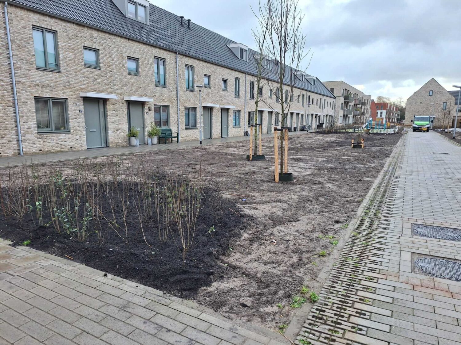 WhatsApp Image 2026-02-17 at 13.32.30