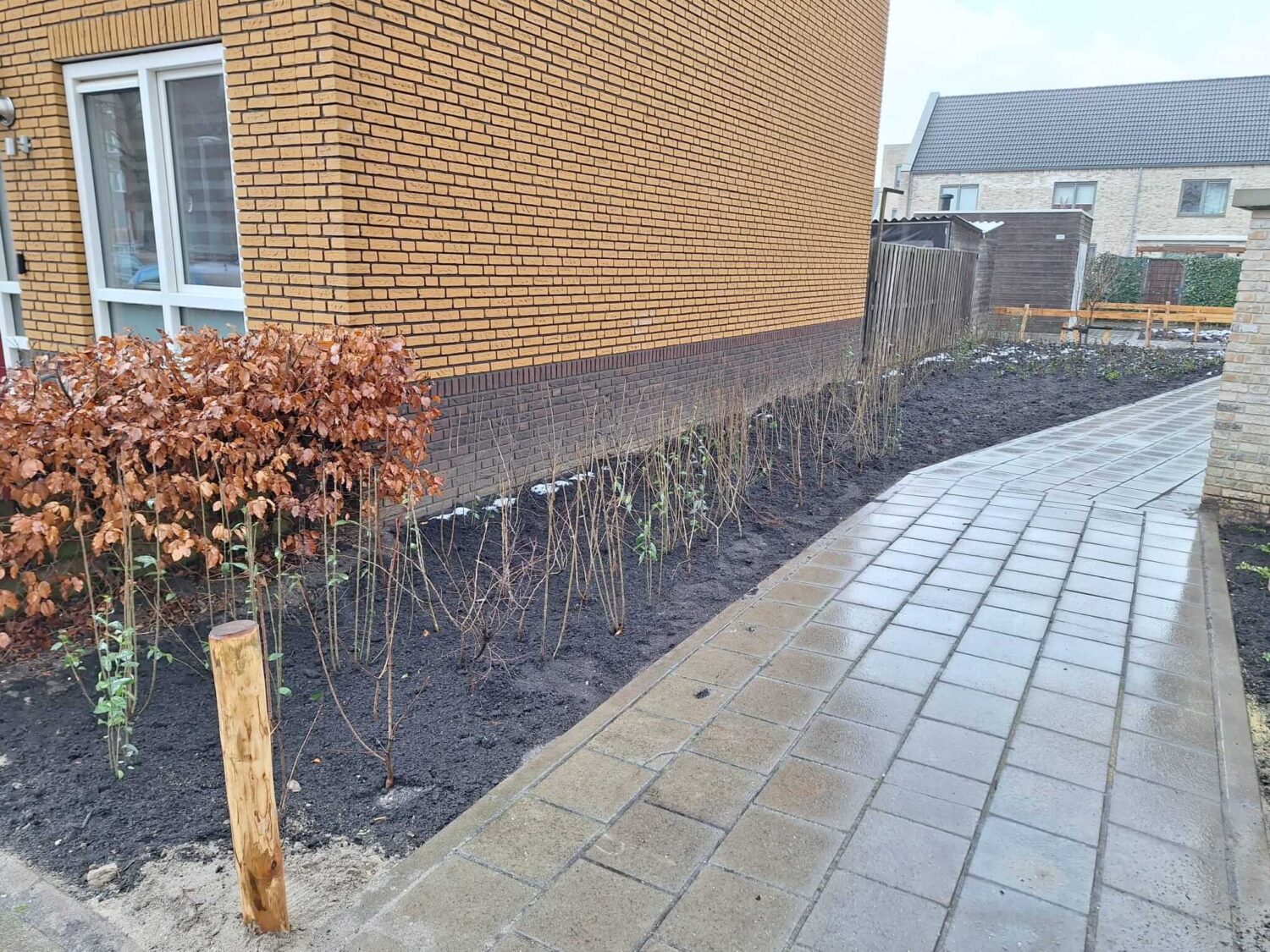 WhatsApp Image 2026-02-17 at 13.32.31 (1)