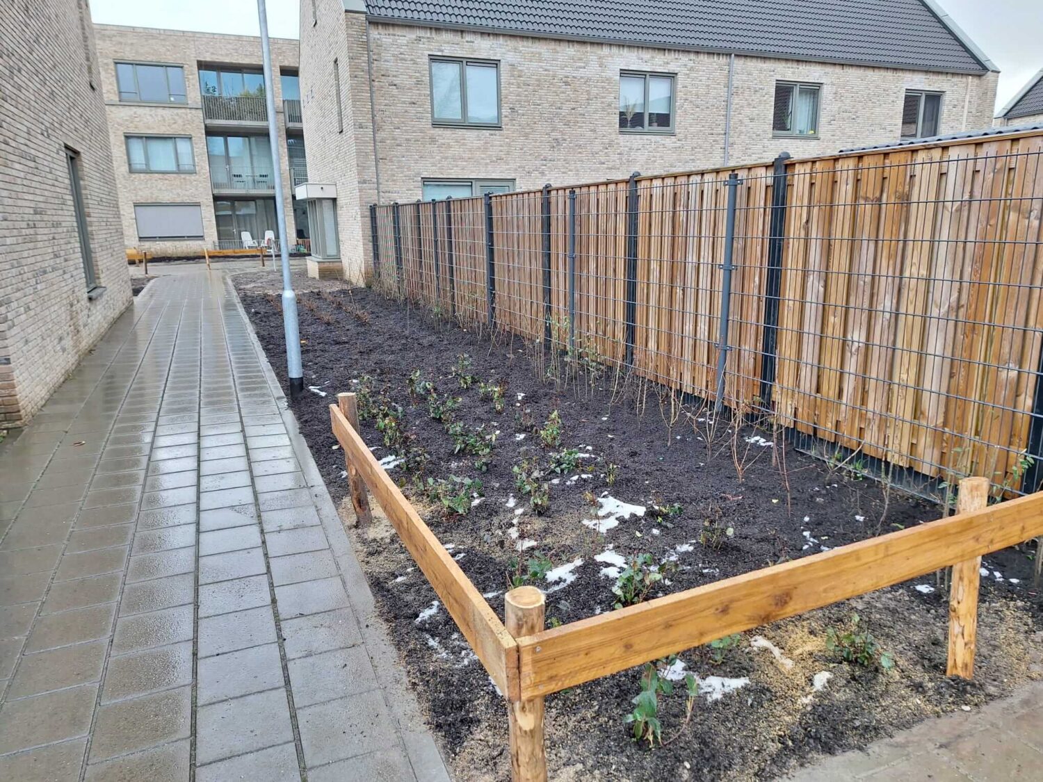 WhatsApp Image 2026-02-17 at 13.32.31