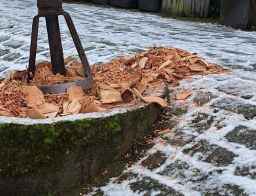 Verwijderen boomstronken op moeilijk bereikbare locaties in Dordrecht