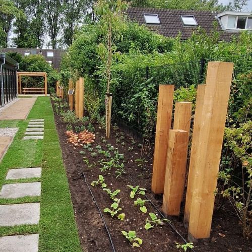 bedrijfstuin dordrecht